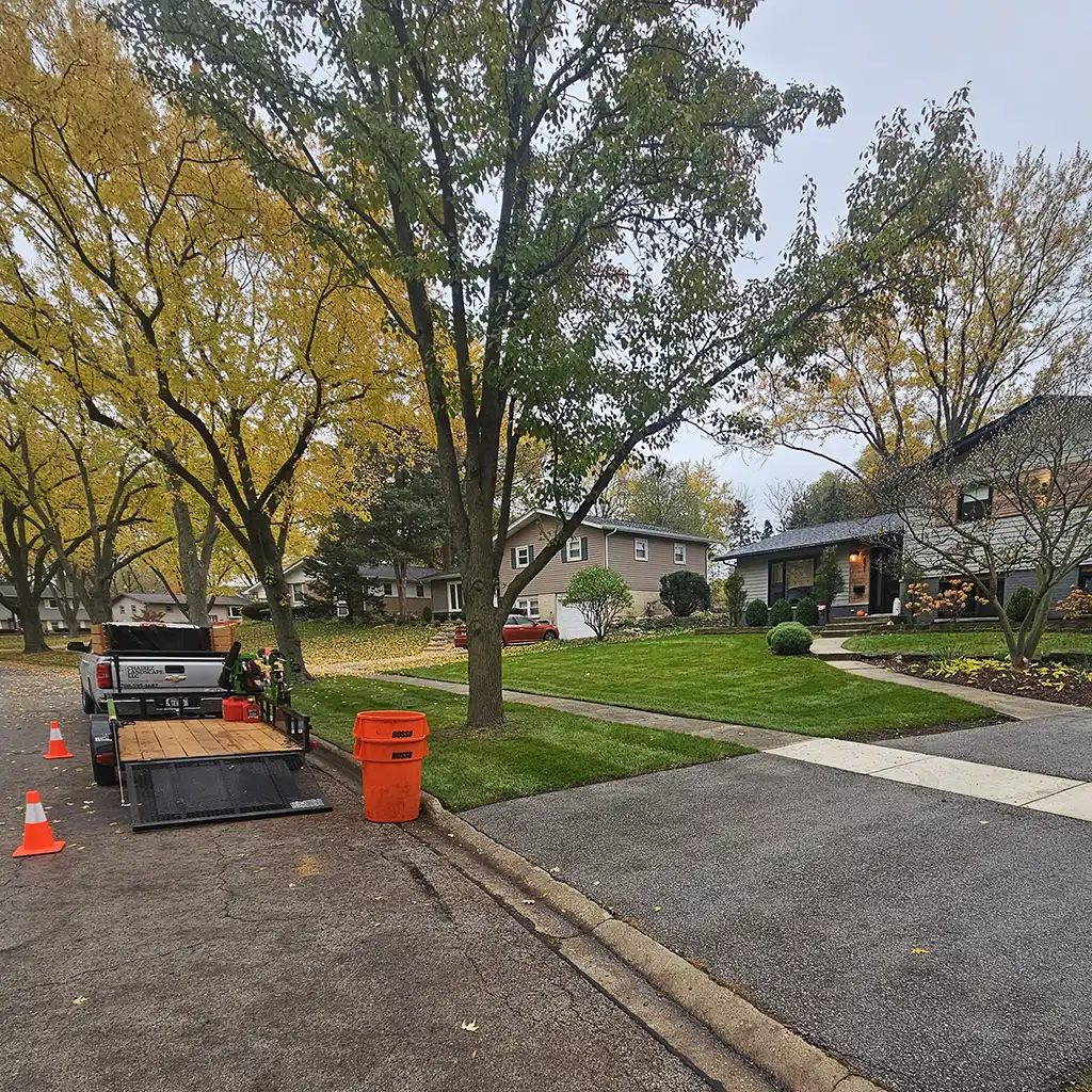 chairez landscape fall cleanups